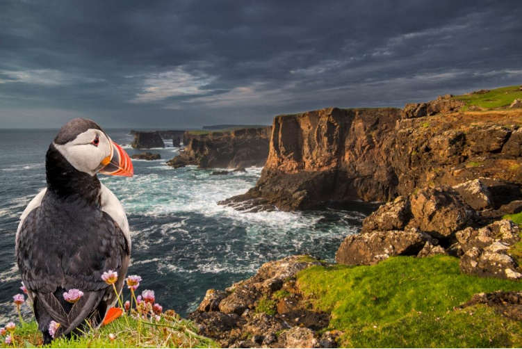 ESB announce new name for Shetland offshore wind farm following local school competition
